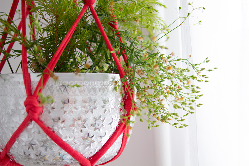 DIY : une suspension pour des plantes