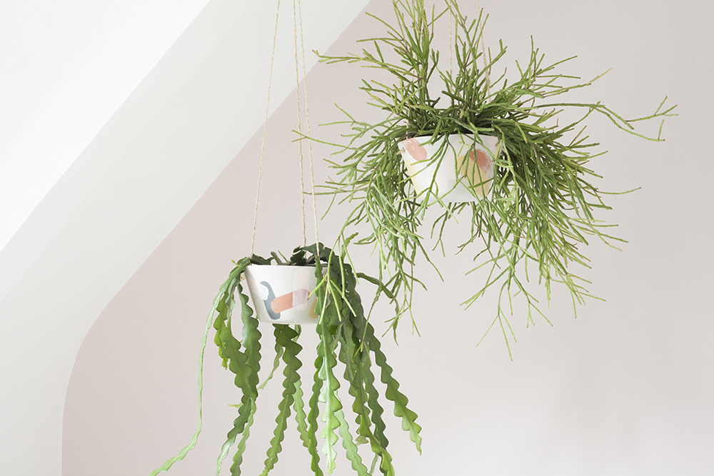 diy-plante-retombante-ceramique-heju-11