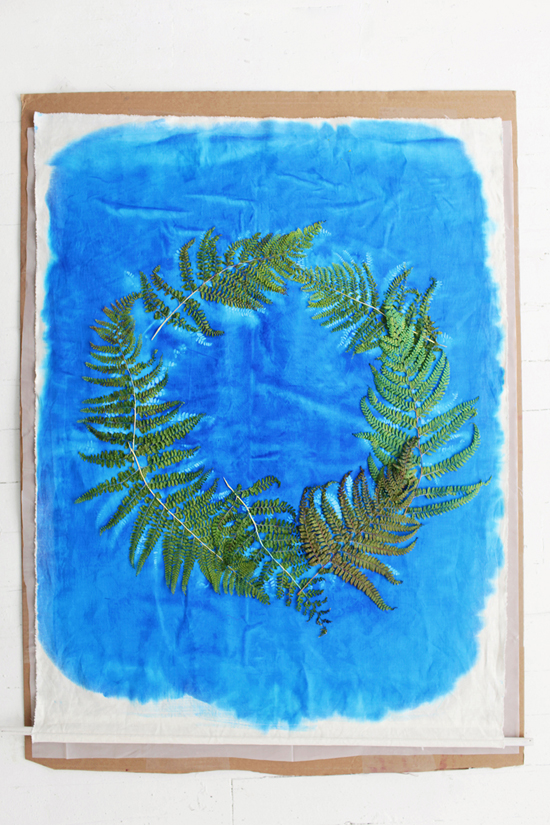 Impression végétaux à la lumière cyanotype DIY