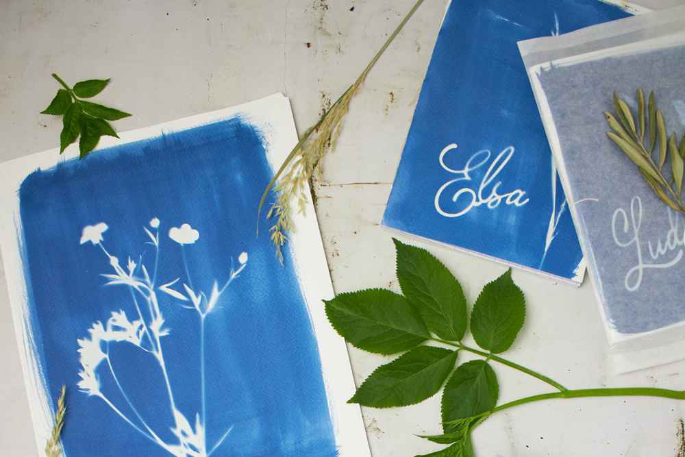 Comment faire un cyanotype ? Le tuto DIY